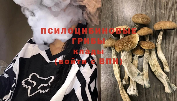 трава Арсеньев