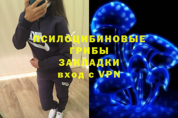 трава Арсеньев